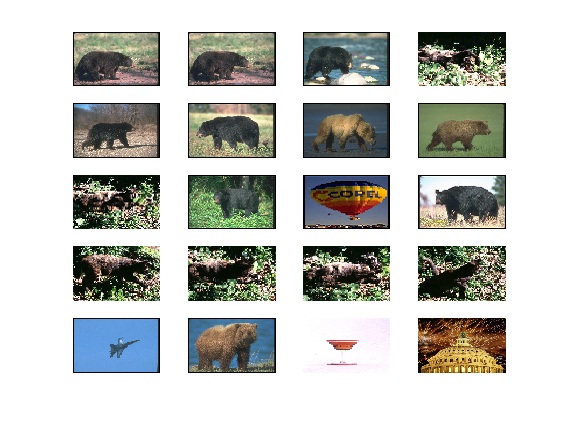 bear sample query